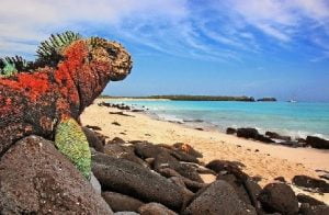 vista islas galapagos