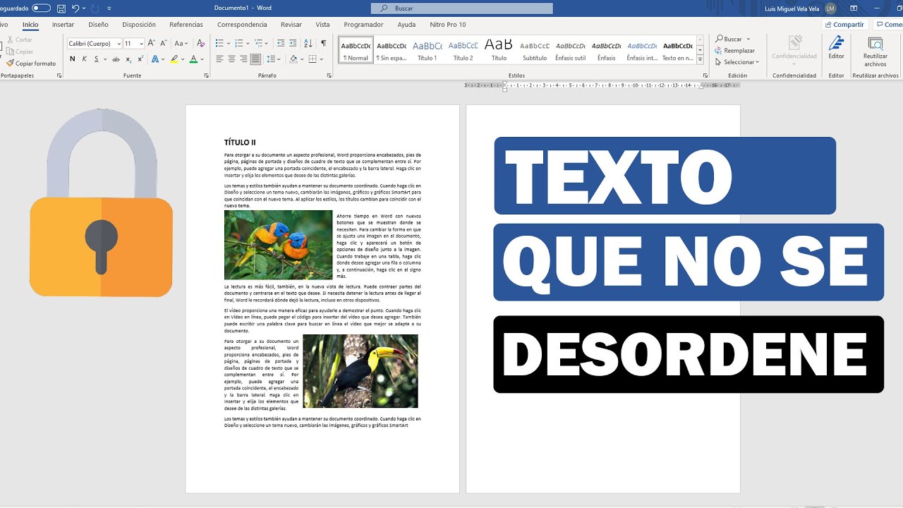 como hacer que nada se mueva en word-3