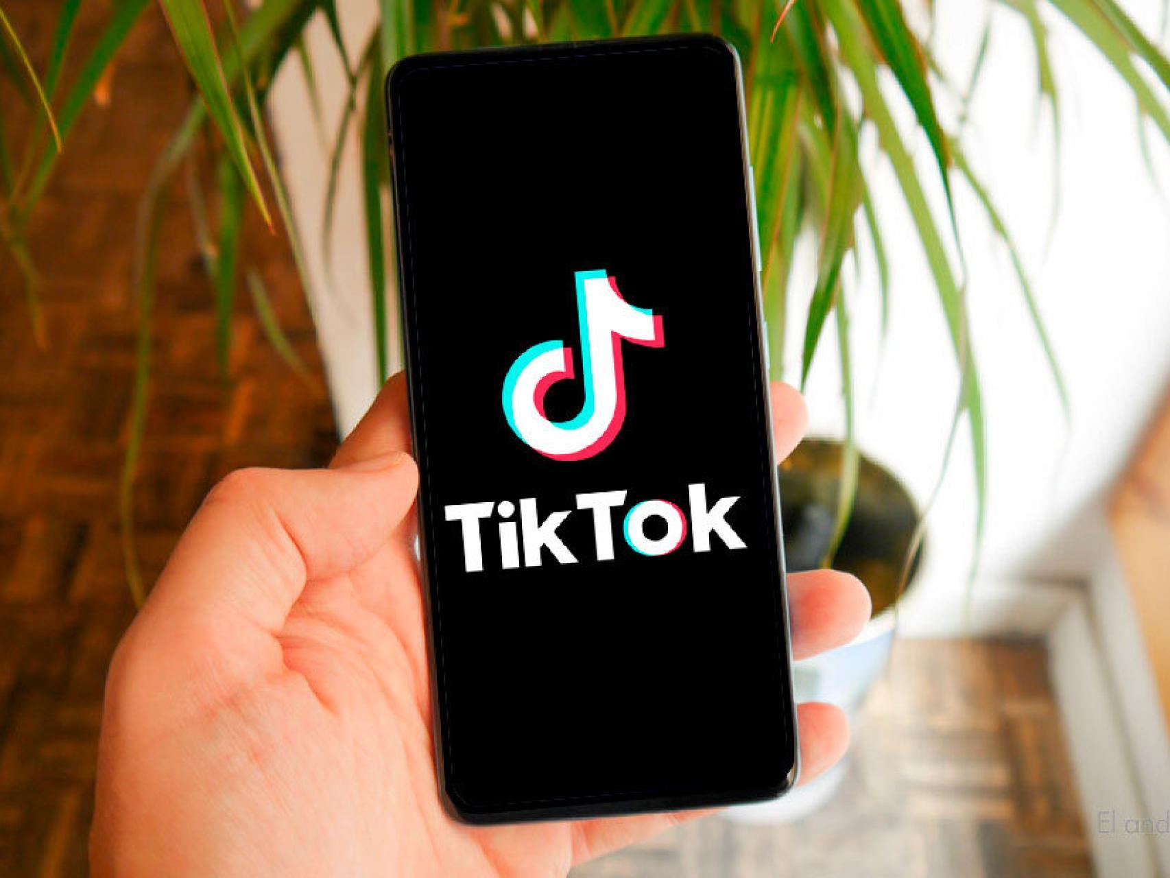 Quitar marca de agua TikTok