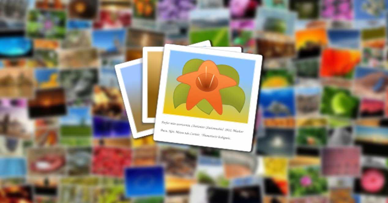 aplicacion para organizar fotos