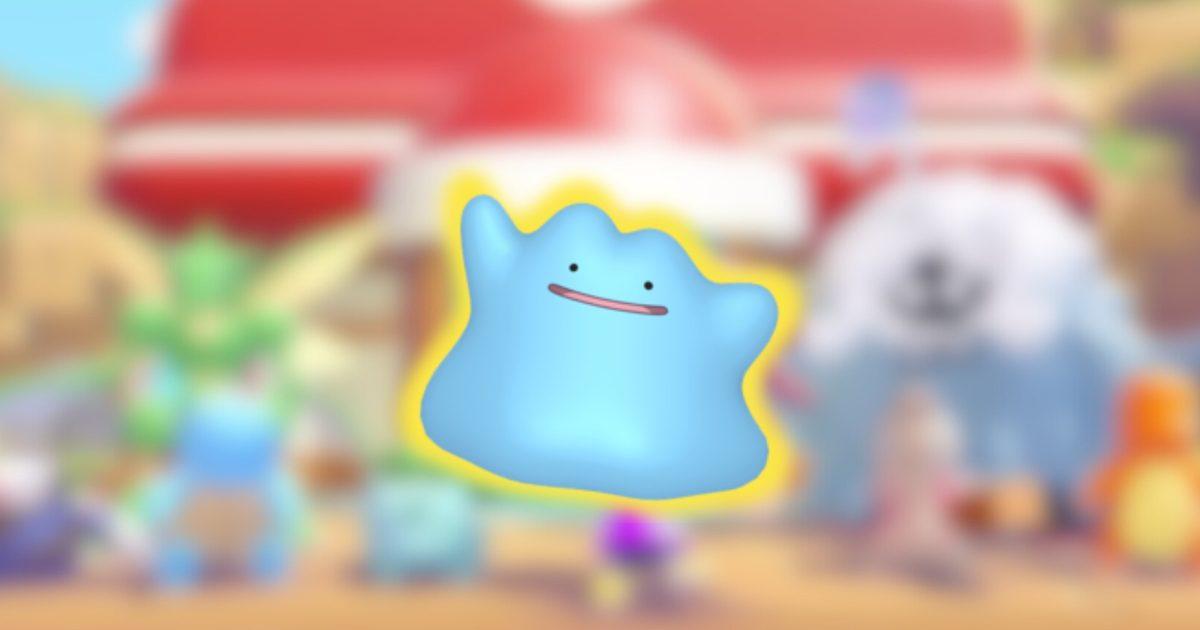 Información sobre shinies en Pokopia Información sobre shinies en Pokopia