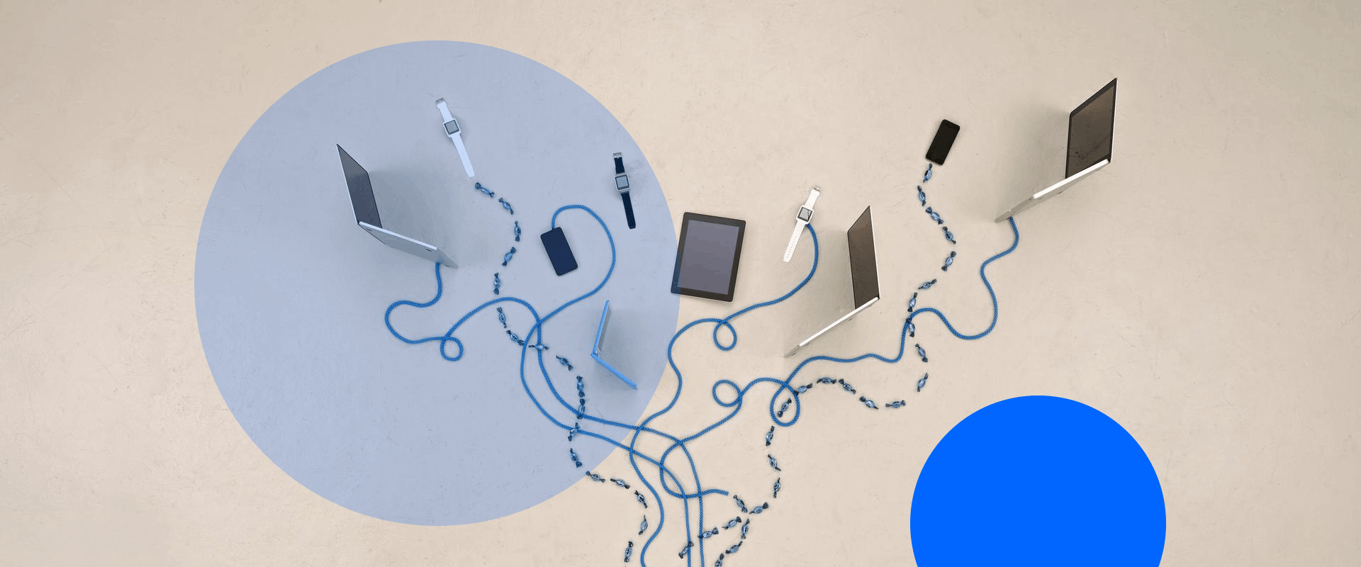 seguridad en redes LAN empresariales