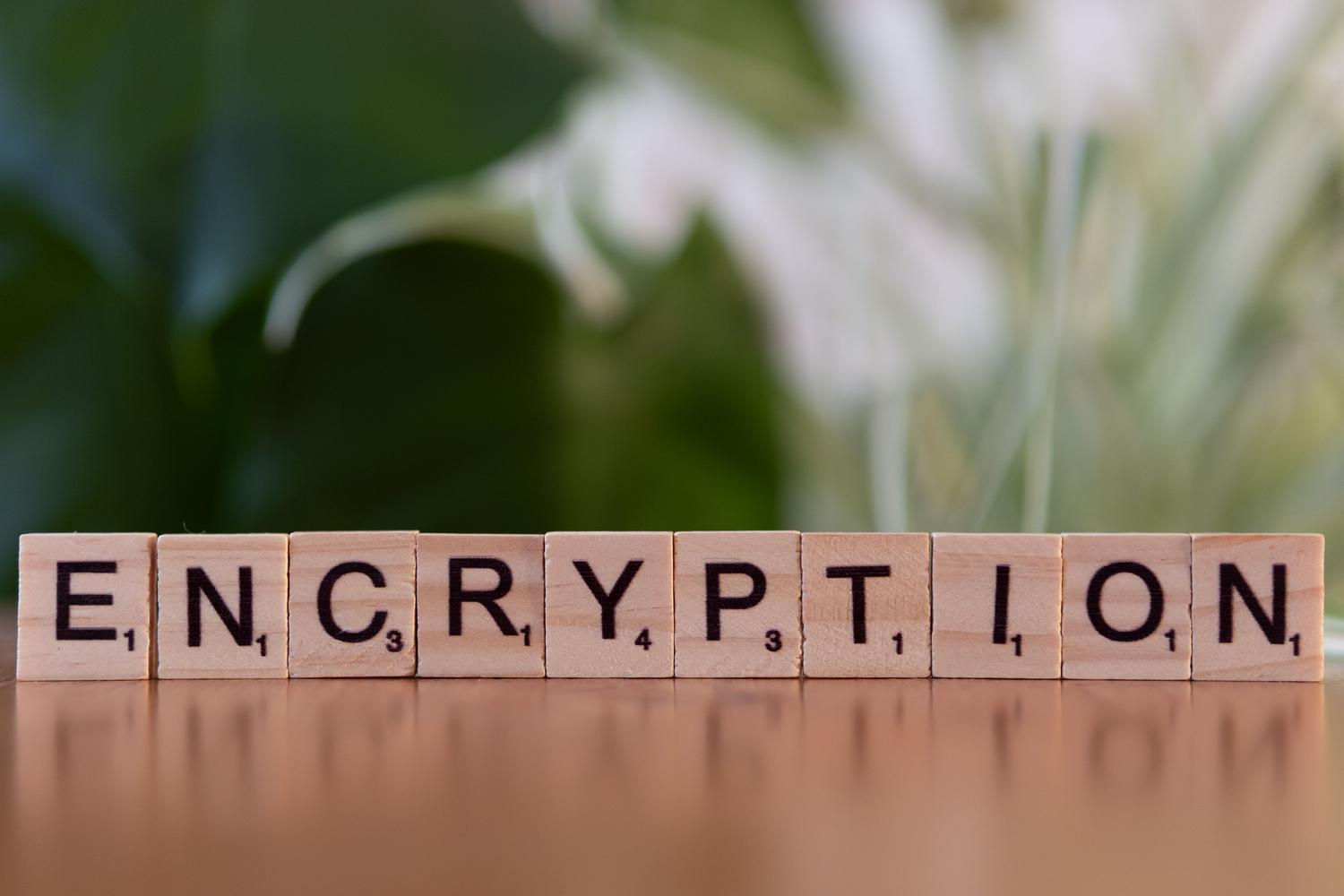 Letras de madera formando la palabra 'ENCRYPTION', representando el cifrado de datos fundamental tanto en VPN como en DNS privados.