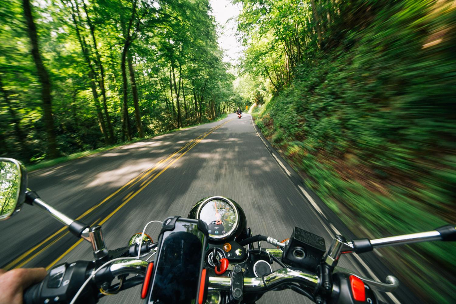 Vista en primera persona de un viaje en moto a través de un bosque exuberante, evocando el estado de meditación activa y atención sostenida.