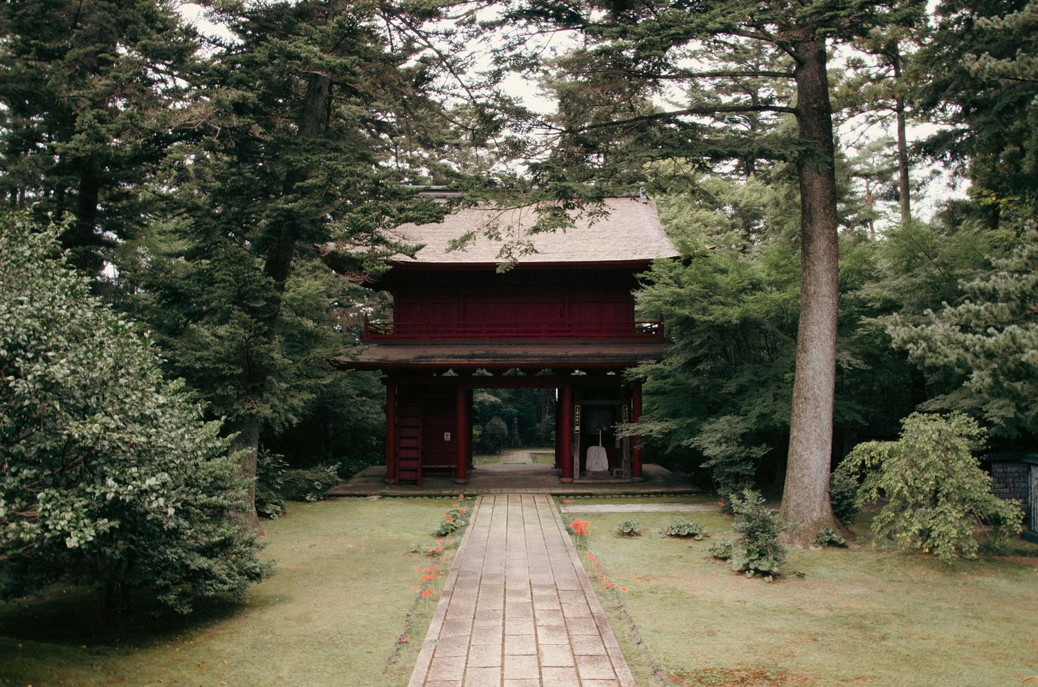 Puerta Torii roja rodeada de un bosque exuberante, ideal para ilustrar el modo roguelike Namazu's Wrath en una isla misteriosa.