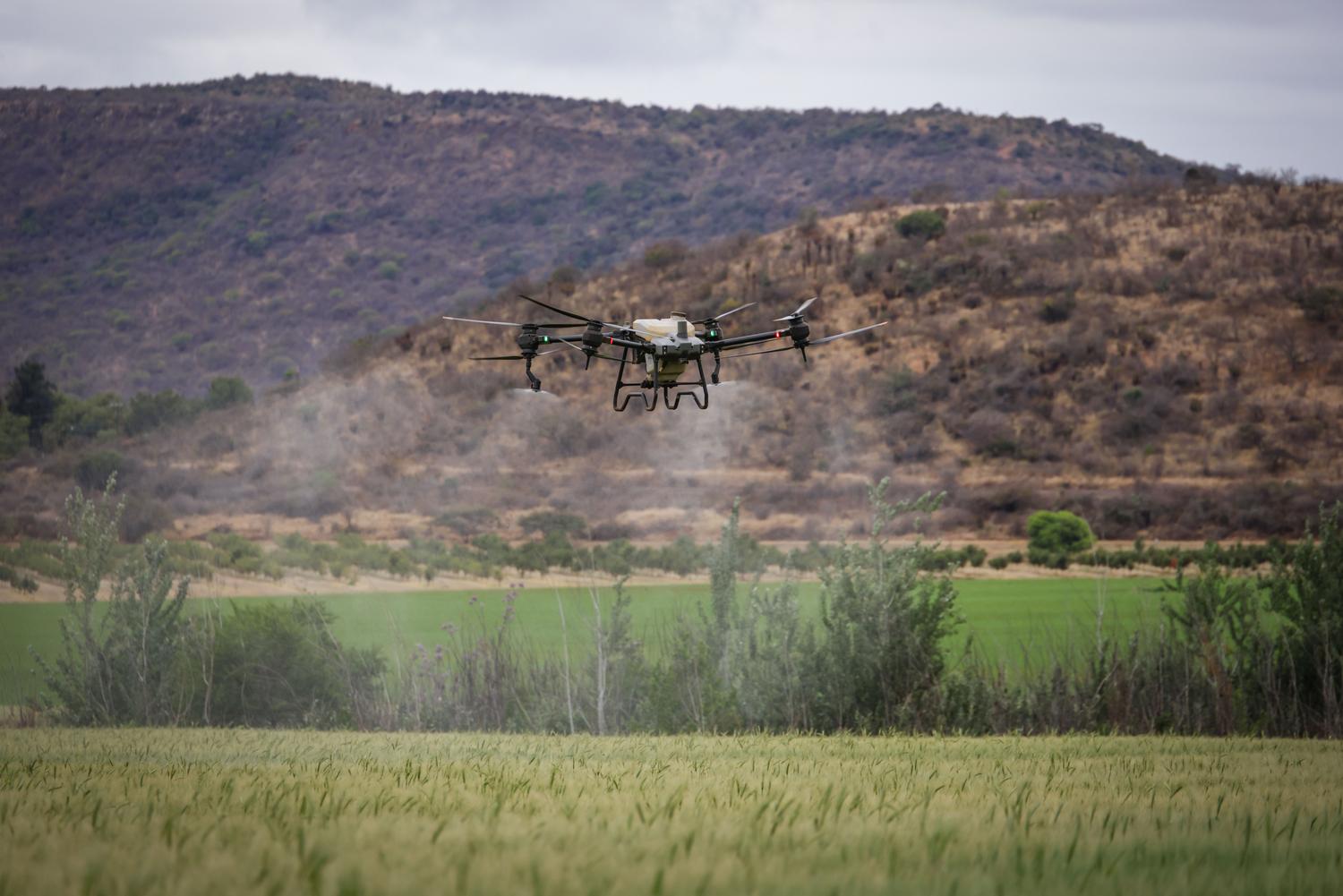Dron agrícola de alta tecnología realizando la pulverización de precisión sobre un campo de cultivo rural.
