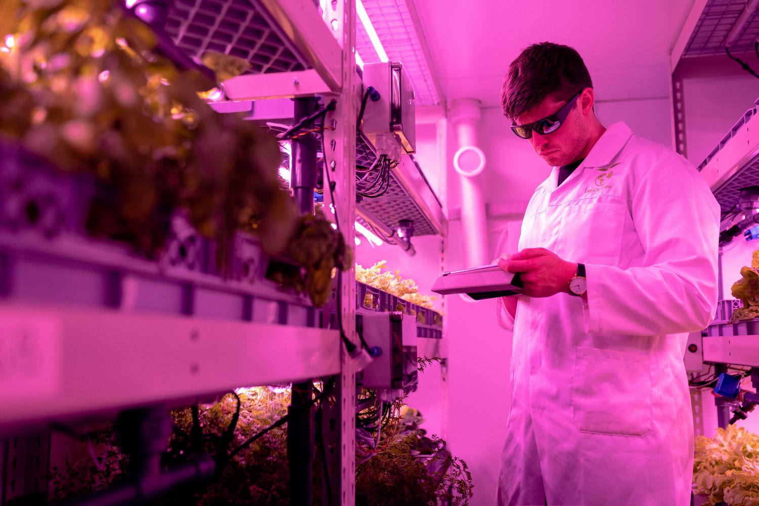 Especialista en AgriFoodTech supervisando el crecimiento de plantas en un entorno de laboratorio controlado y vertical.