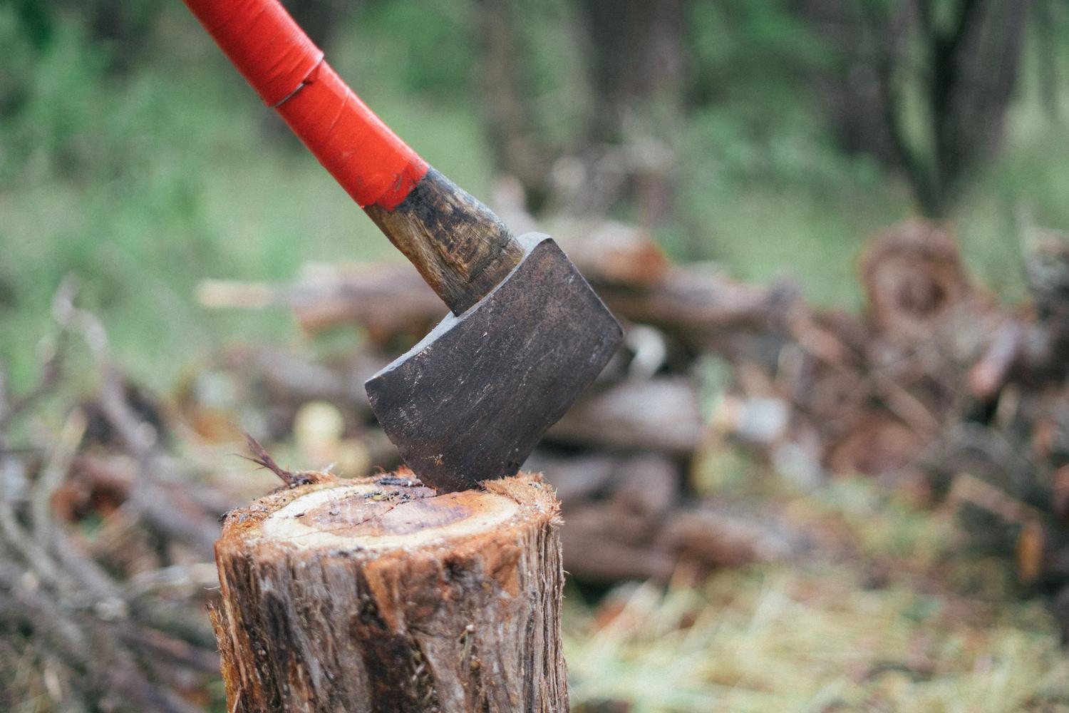 Hacha clavada en un tronco de madera en el bosque, ilustrando la habilidad de Forrajeo y la ruptura de bloques de madera.