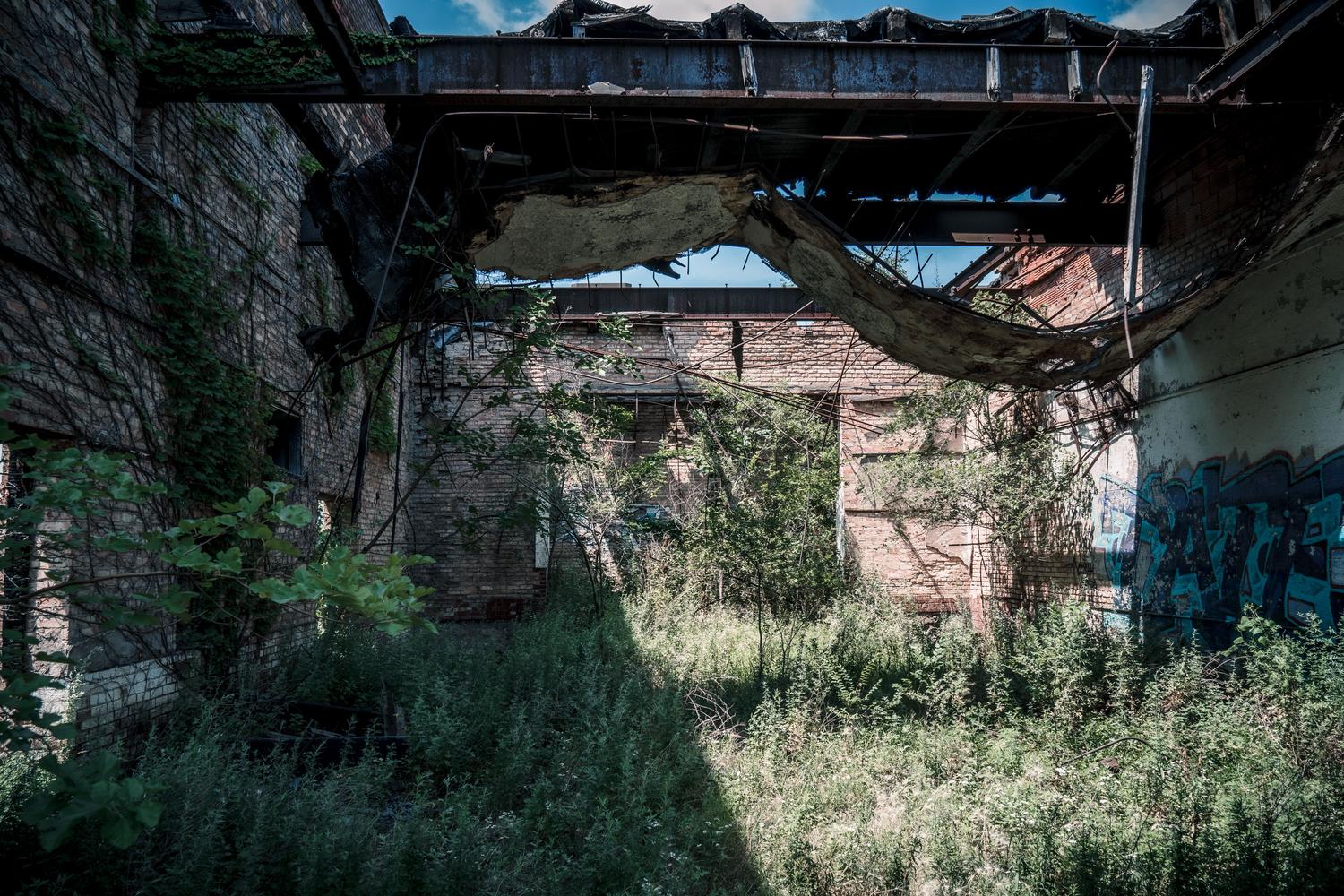 Edificio abandonado cubierto de vegetación, ilustrando la reconquista de la naturaleza en ciudades como la Commonwealth.